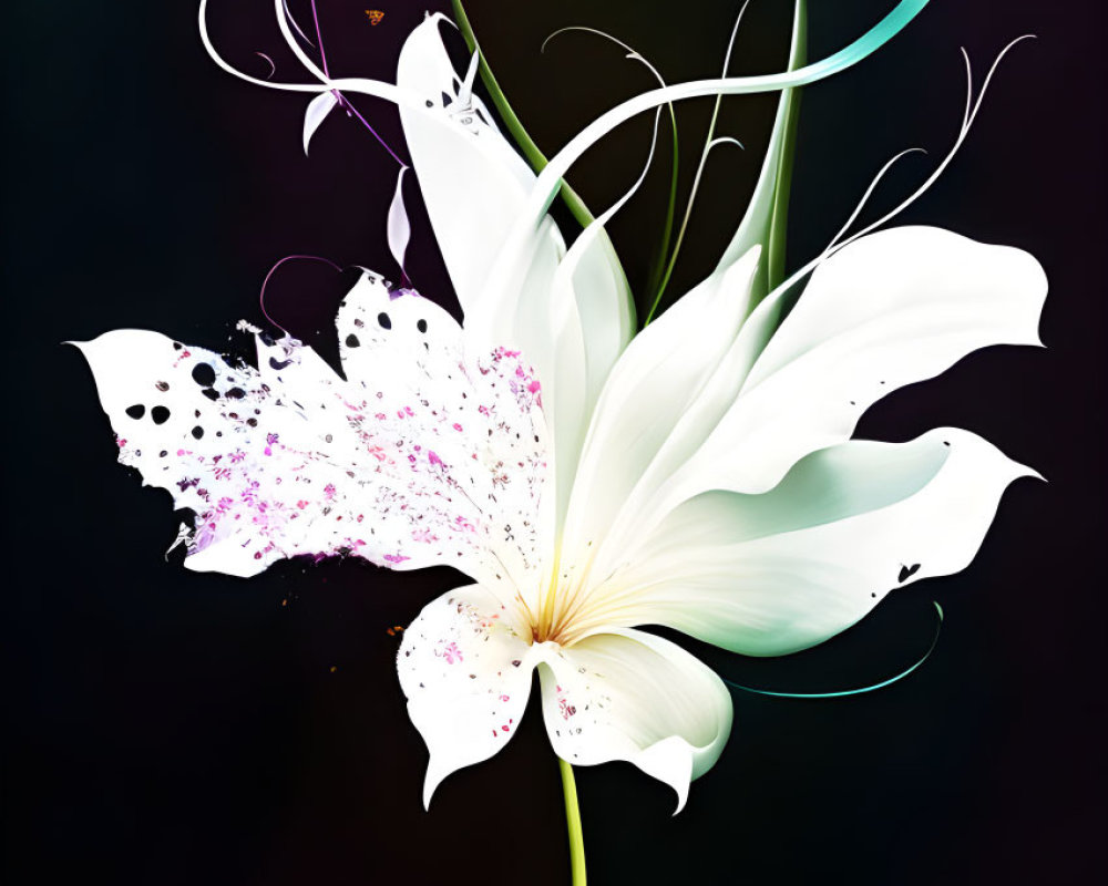 Stylized white lily with purple splashes on dark background
