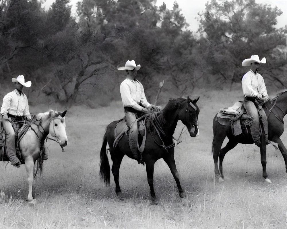 Cowboys on Horses in Traditional Western Attire