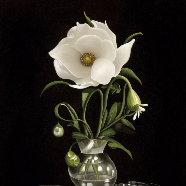 Realistic White Magnolia Flower Painting in Glass Vase on Black Background