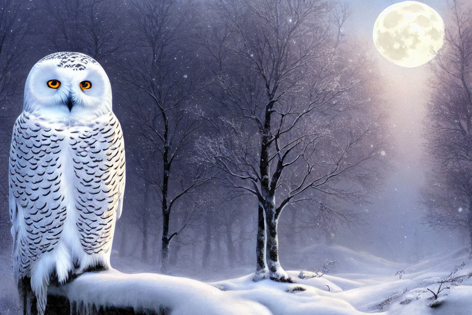 Snowy Owl on Snow-Covered Branch with Full Moon and Winter Forest