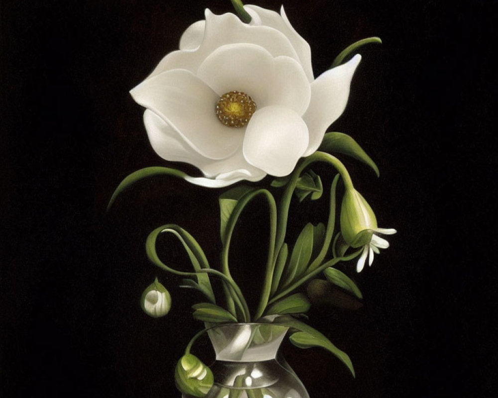 Realistic White Magnolia Flower Painting in Glass Vase on Black Background