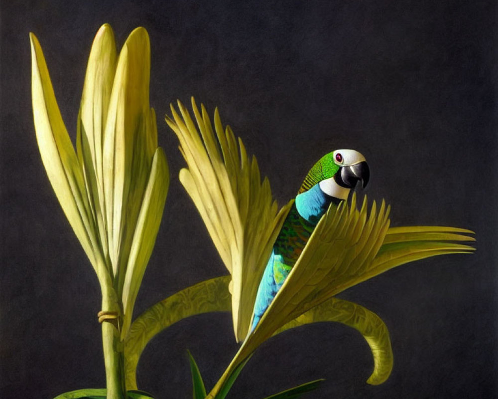 Colorful Parrot Perched on Green Leaf with Yellow Flowers