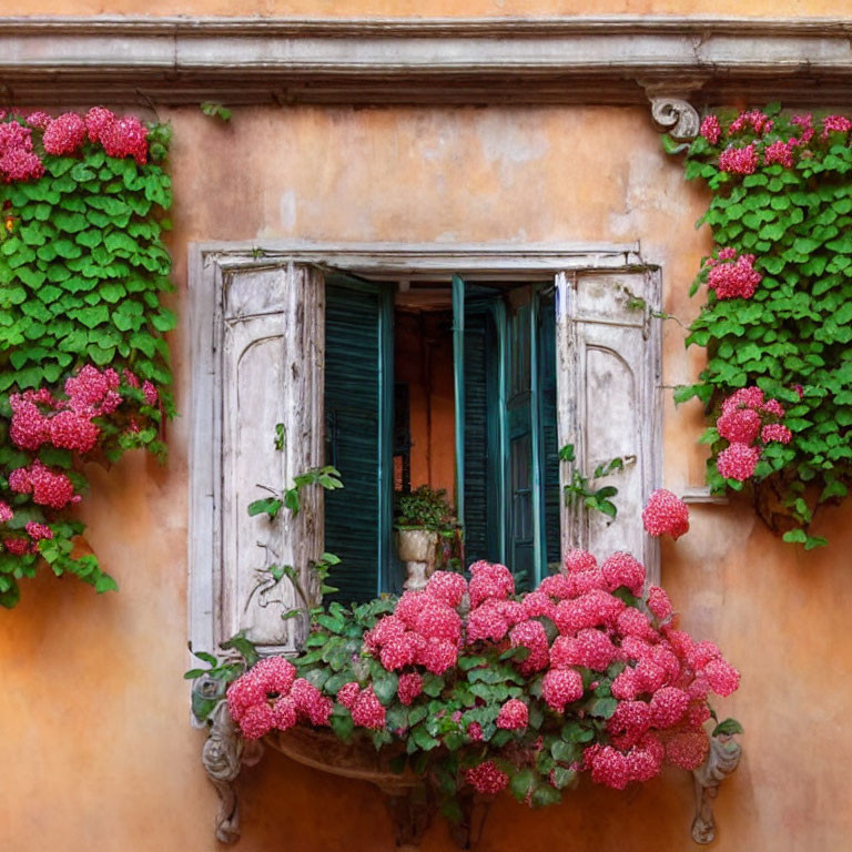 Weathered shutters and pink flowers on peach wall in quaint window