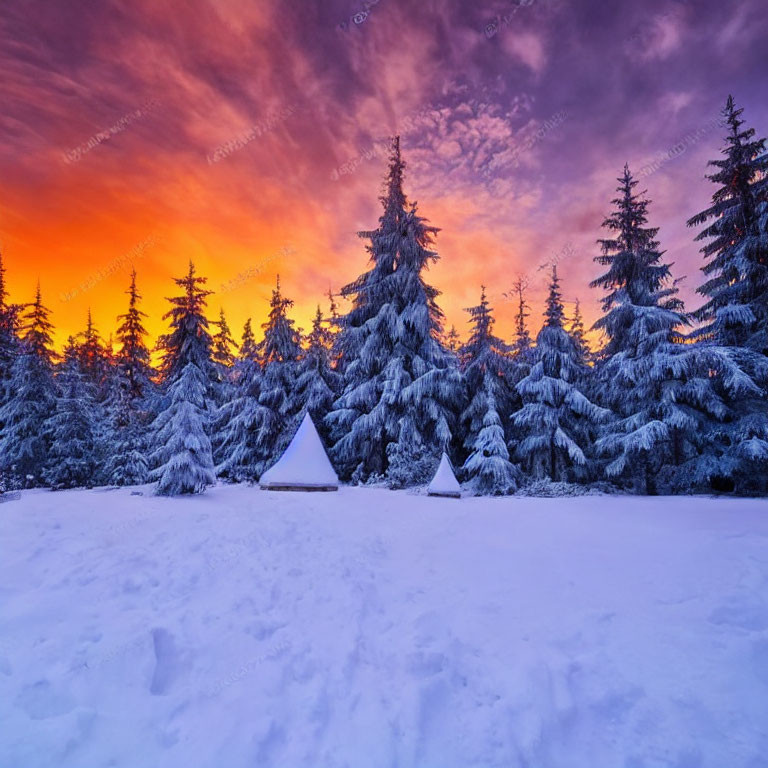 Winter landscape: snow-covered pines, orange and purple sunset sky, two white tents