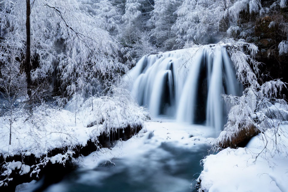 Snow-covered Waterfall Surrounded by Frosted Trees in Winter