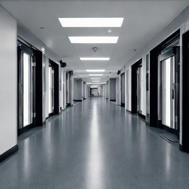 Modern corridor with reflective flooring and black doors under fluorescent lights