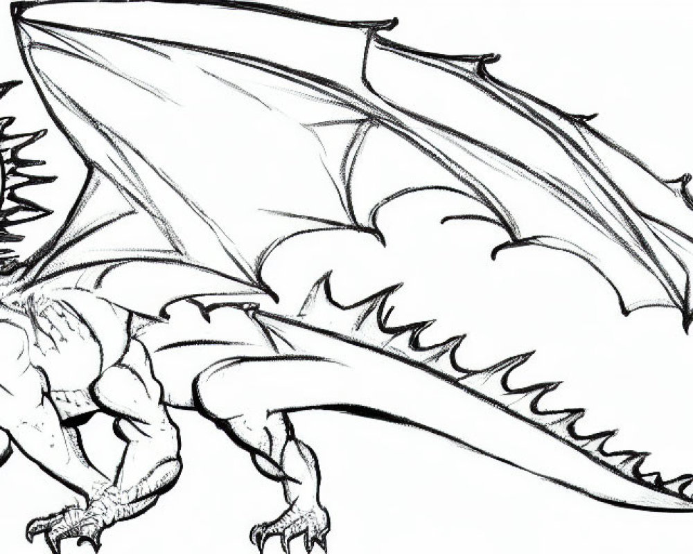 Detailed Dragon Sketch with Large Wings and Sharp Claws