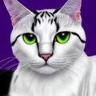 Close-up White Cat with Green Eyes and Pink Nose on Purple Background
