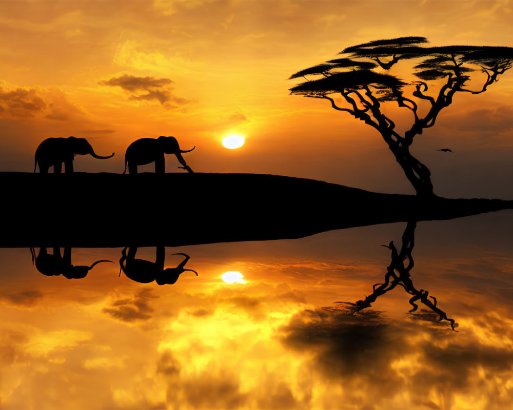Elephants on Cliff with Tree Silhouette at Sunset