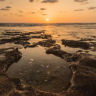 Rocky beach sunset with crashing waves and warm sunlight on water and foliage