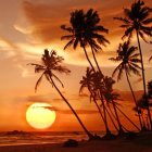 Tropical beach sunset with palm trees, orange sky, fluffy clouds