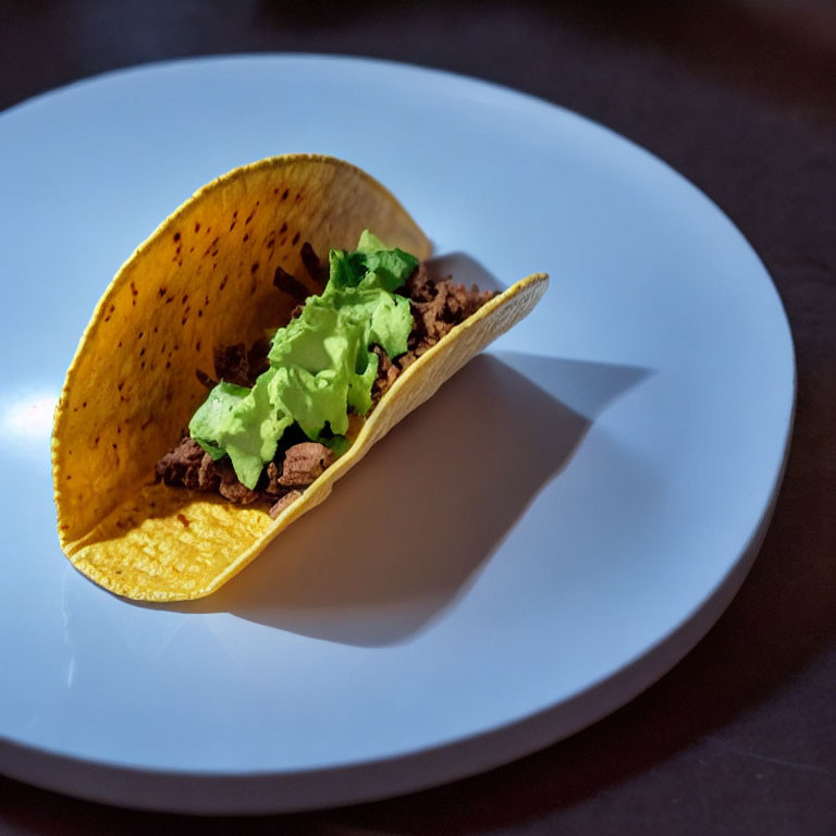 Ground meat and lettuce taco on white plate with light beam on dark background