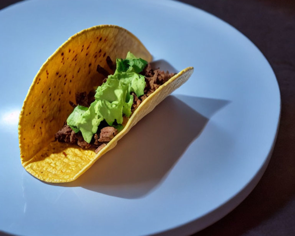 Ground meat and lettuce taco on white plate with light beam on dark background