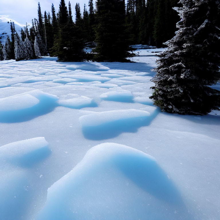 Winter scene: Blue ice formations in snowy landscape with evergreen trees.