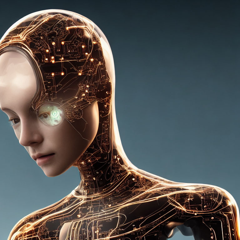 Female humanoid robot with transparent skin and circuitry against blue background