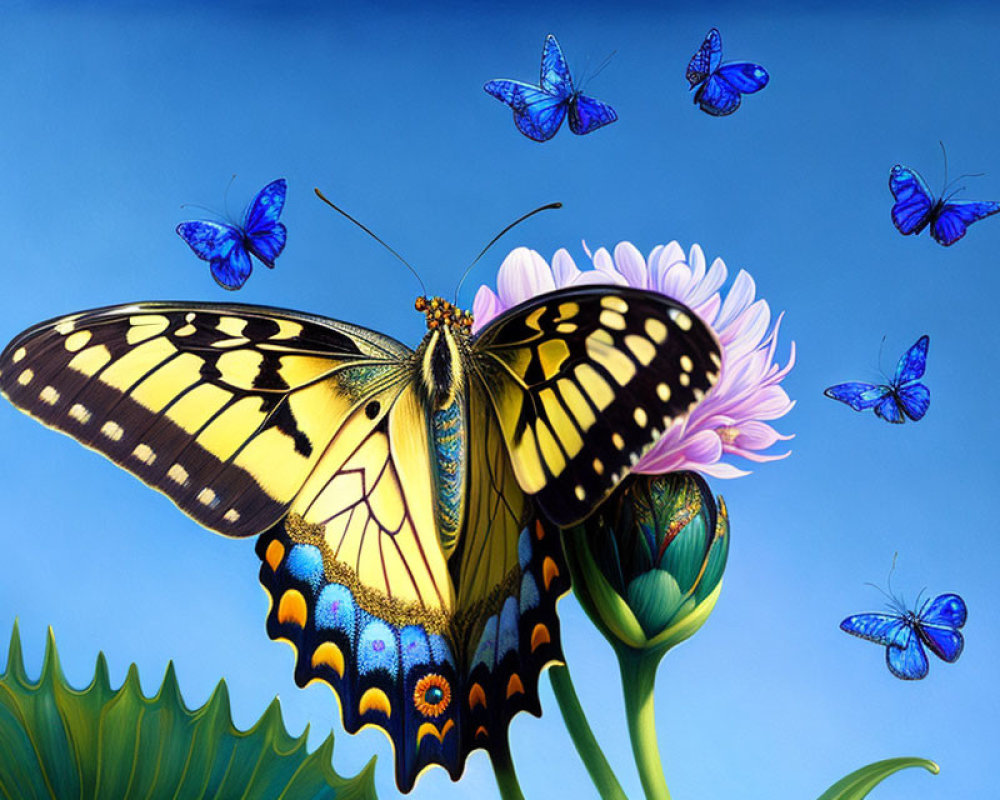 Colorful Butterfly on Purple Flower with Blue Butterflies in Sky-blue Background
