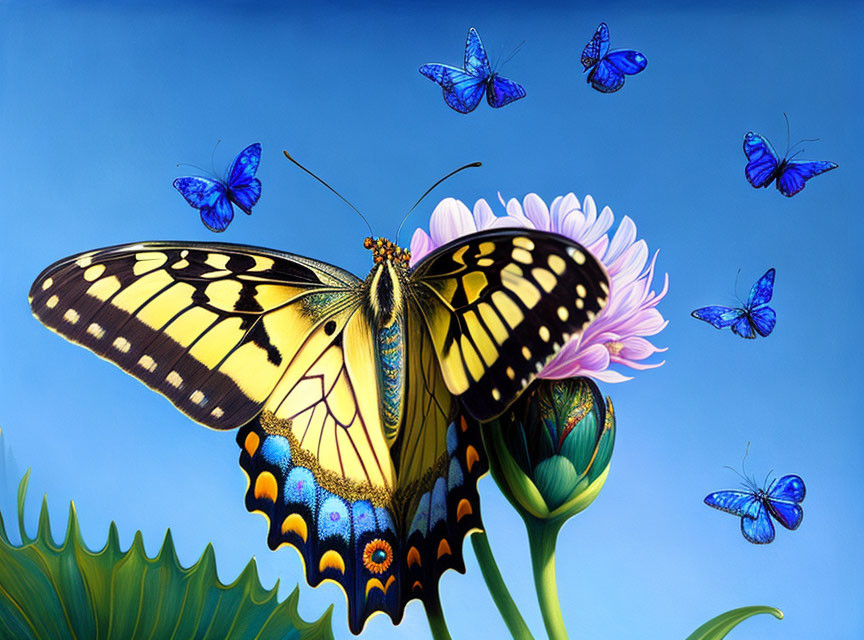 Colorful Butterfly on Purple Flower with Blue Butterflies in Sky-blue Background