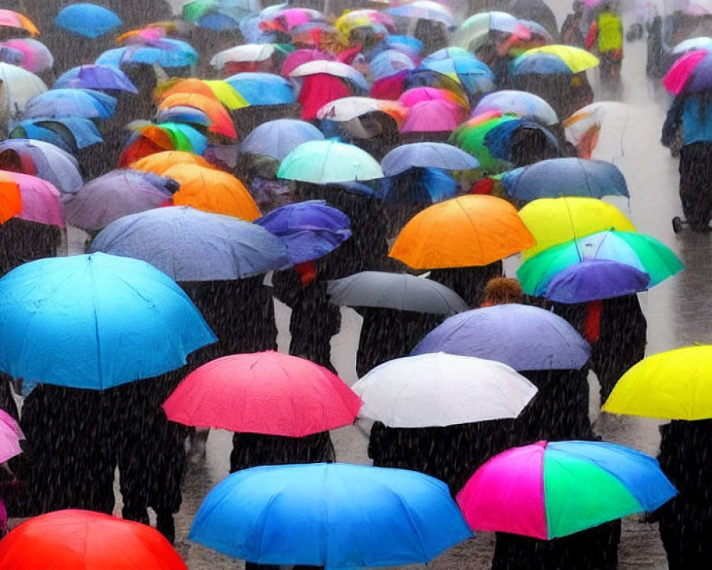 Vibrant array of colorful umbrellas in rainy day scene