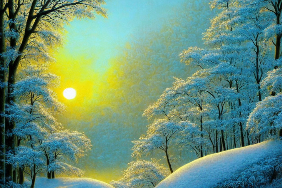 Snow-covered trees in misty winter forest with glowing sun