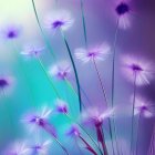 Delicate Purple and White Flowers on Gradient Background
