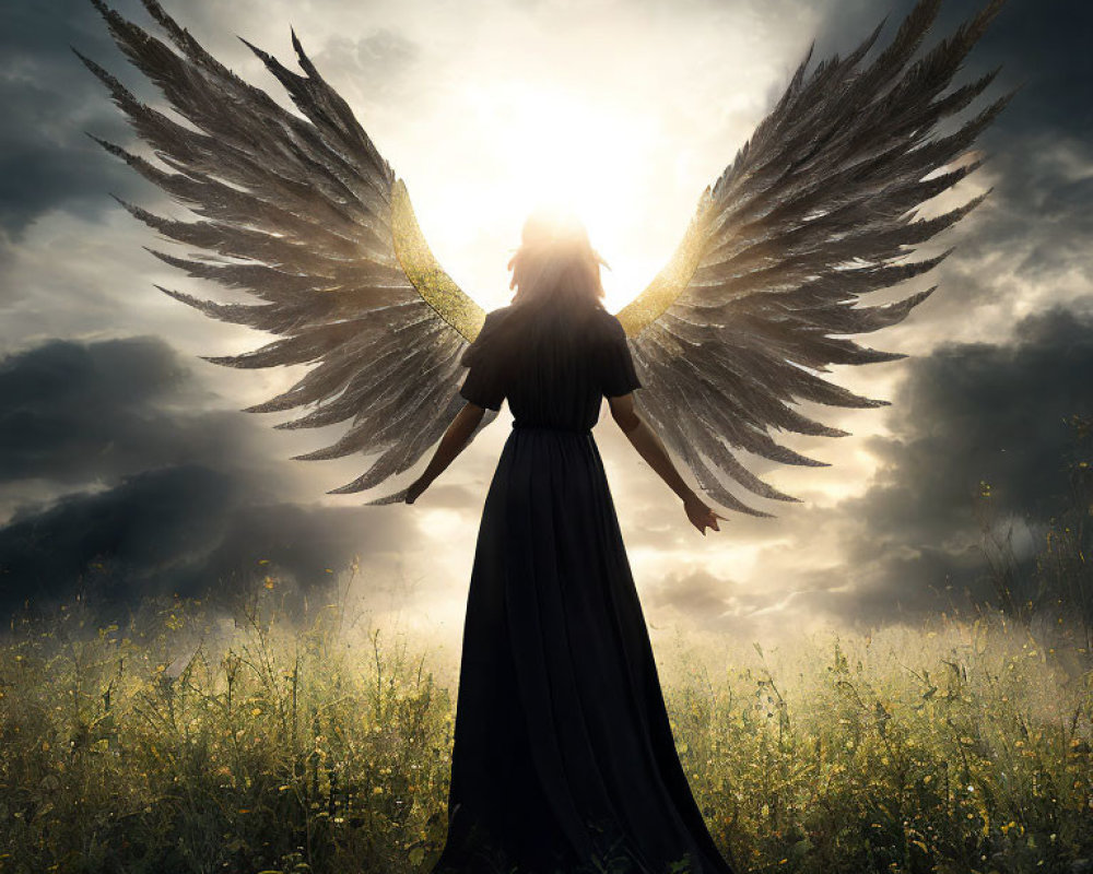 Silhouetted figure with angelic wings in field under dramatic sky