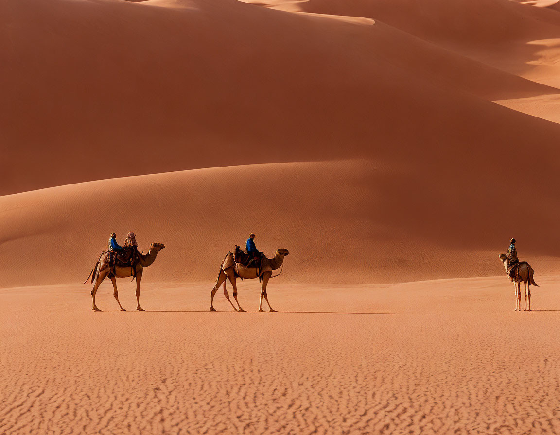 Three camels with riders crossing desert dunes.