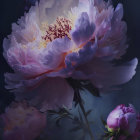 Radiant peony digital art with cosmic background and prominent bloom