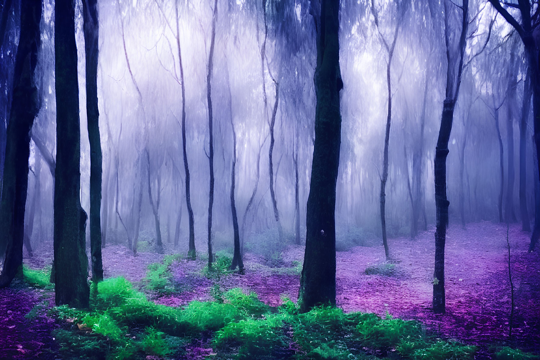 Purple-Hued Forest with Fog, Green Undergrowth, and Silhouetted Trees