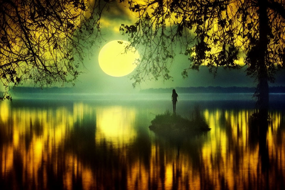 Silhouette of person on island under tree gazing at yellow moon reflected in water