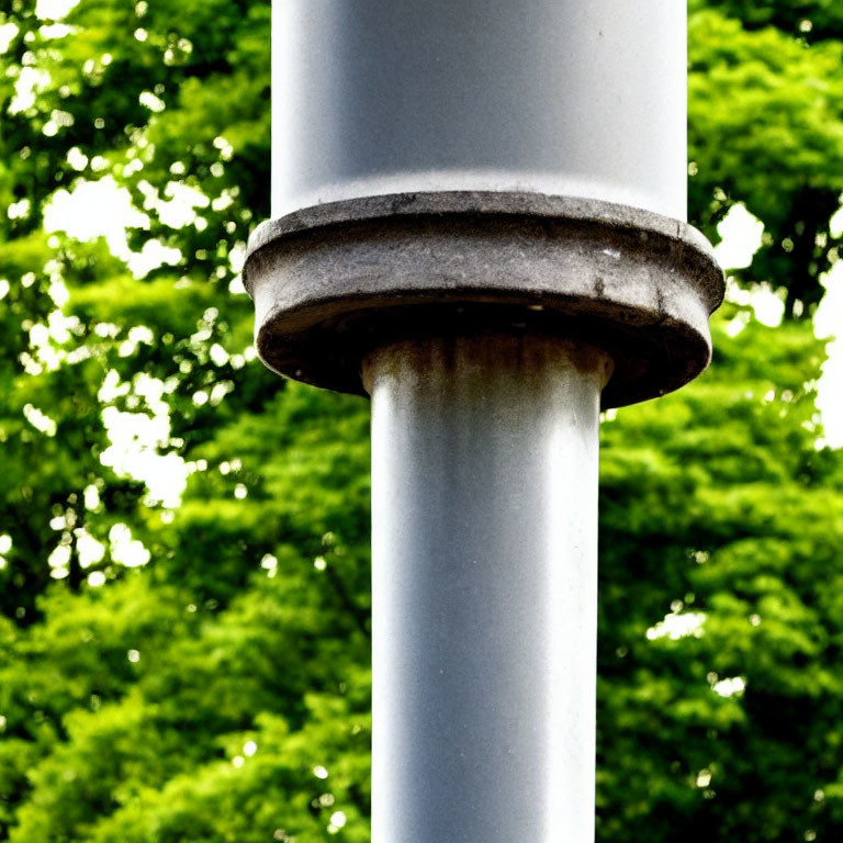 White Column with Textured Base Against Green Tree Background