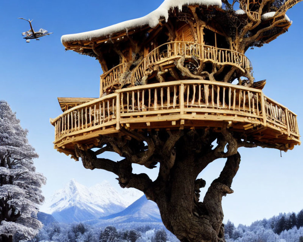 Snow-covered treehouse near helicopter in wintry forest