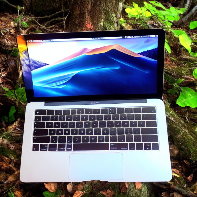 Scenic mountain wallpaper on laptop screen against forest backdrop