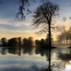 Tranquil lake at sunrise with mist and bare trees
