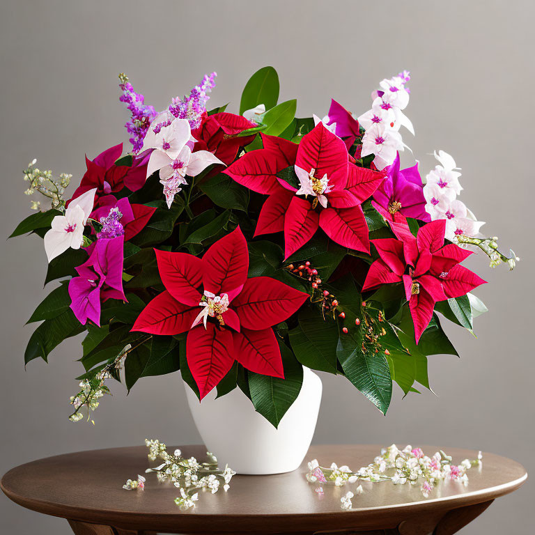 Colorful Poinsettia Bouquet in White Pot on Wooden Table