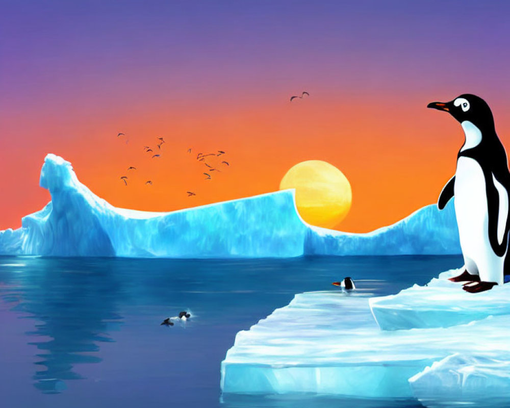 Penguin on ice floe gazes at sunset over icy blue waters