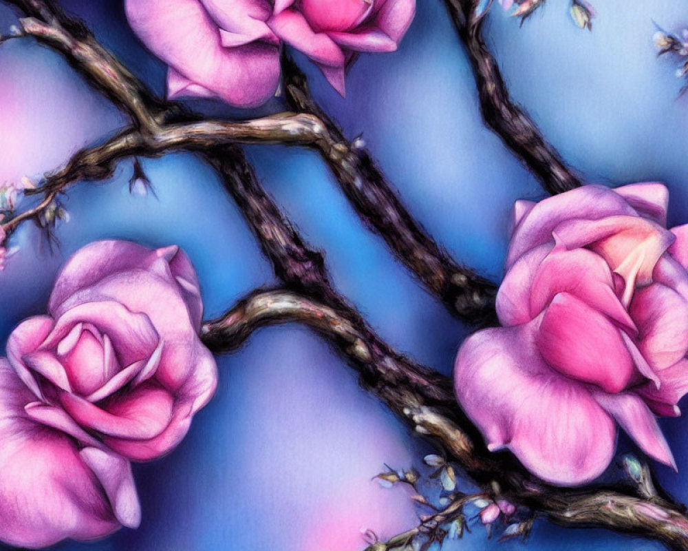 Colorful illustration: Pink roses on blue-purple gradient