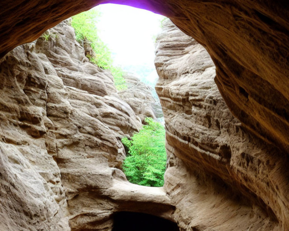 Cave interior with rugged entrance overlooking green landscape