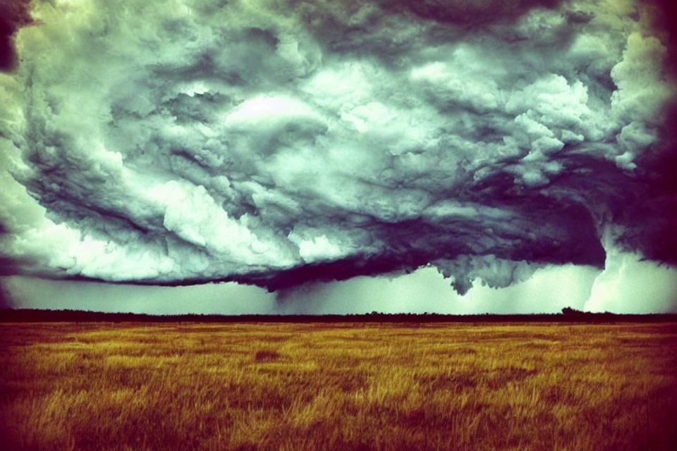 Dramatic storm cloud formation over golden field