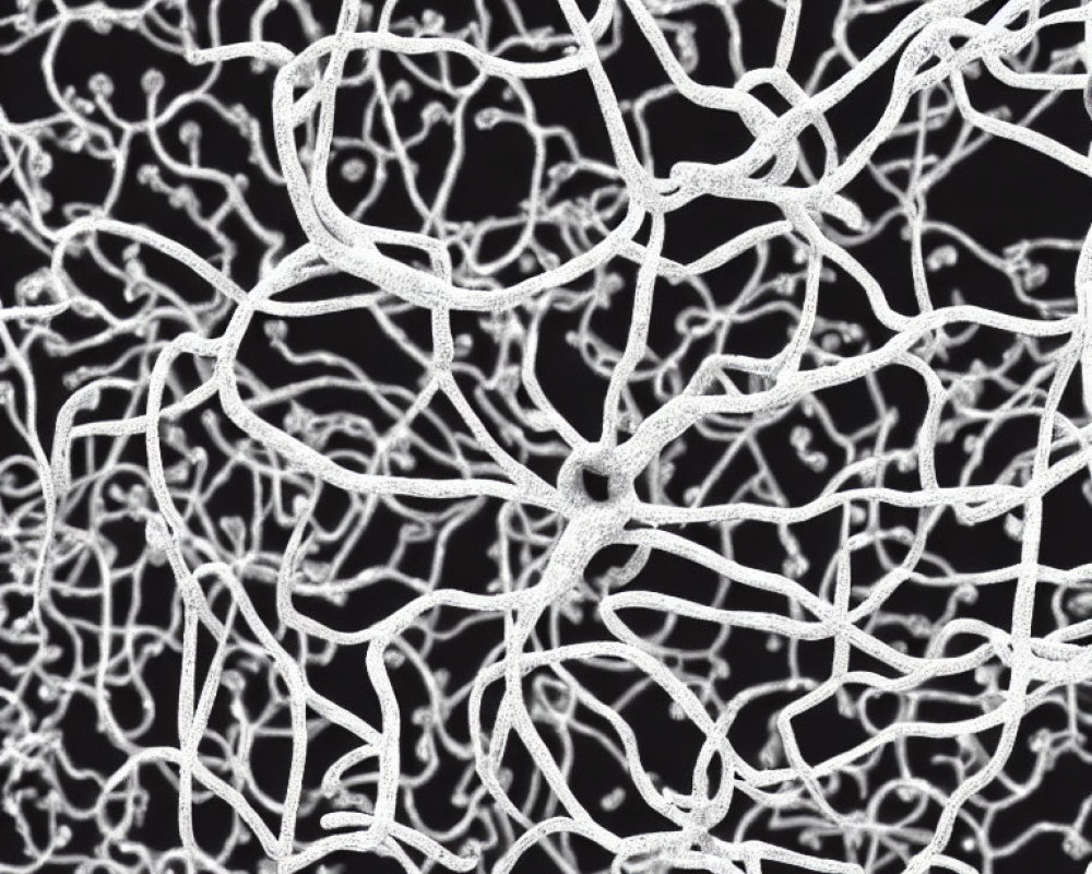 White Neural Networks on Black Background: Depicting Brain Synapses