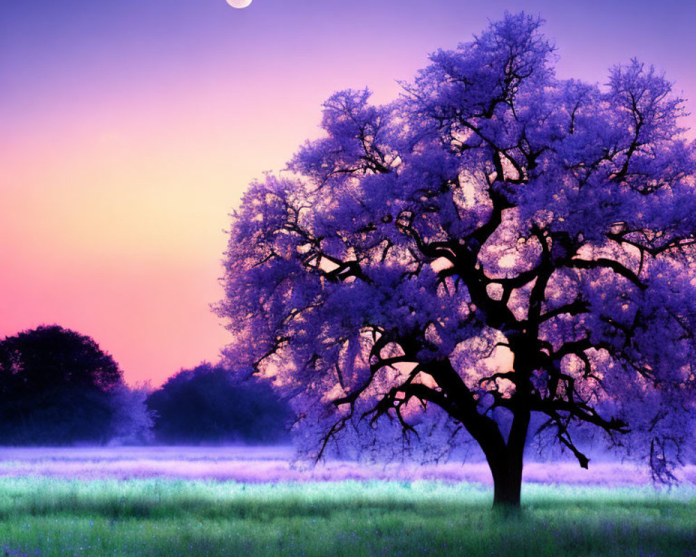 Majestic tree with blossoming flowers under twilight sky in purple dusk field