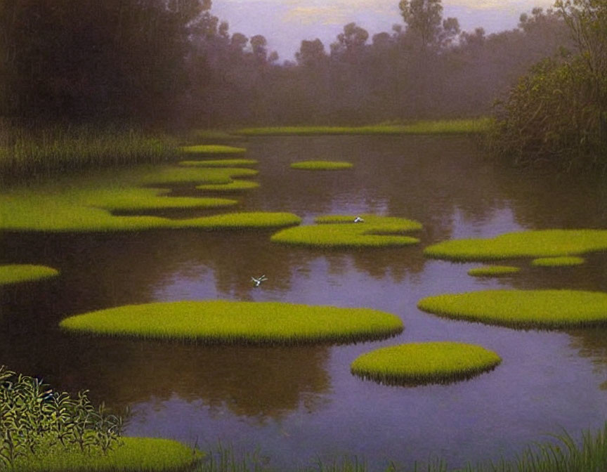 Tranquil river scene with green lily pads, misty forest, and flying birds