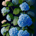 Blue Flower Collection with Intricate Patterns on Dark Background