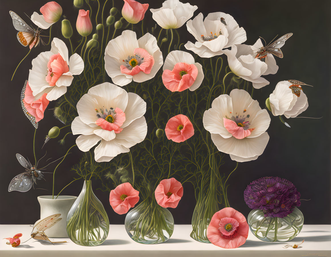 Botanical illustration of white and pink poppies with insects on dark background