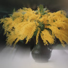 Digital Image: Oversized Yellow Poppies in Decorative Vase