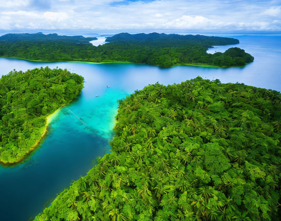 Tropical Archipelago with Lush Forests and Blue Waters