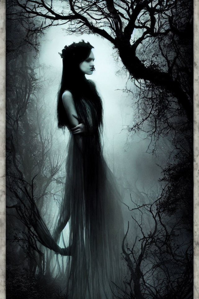 Silhouette of woman with crown in misty, dark forest