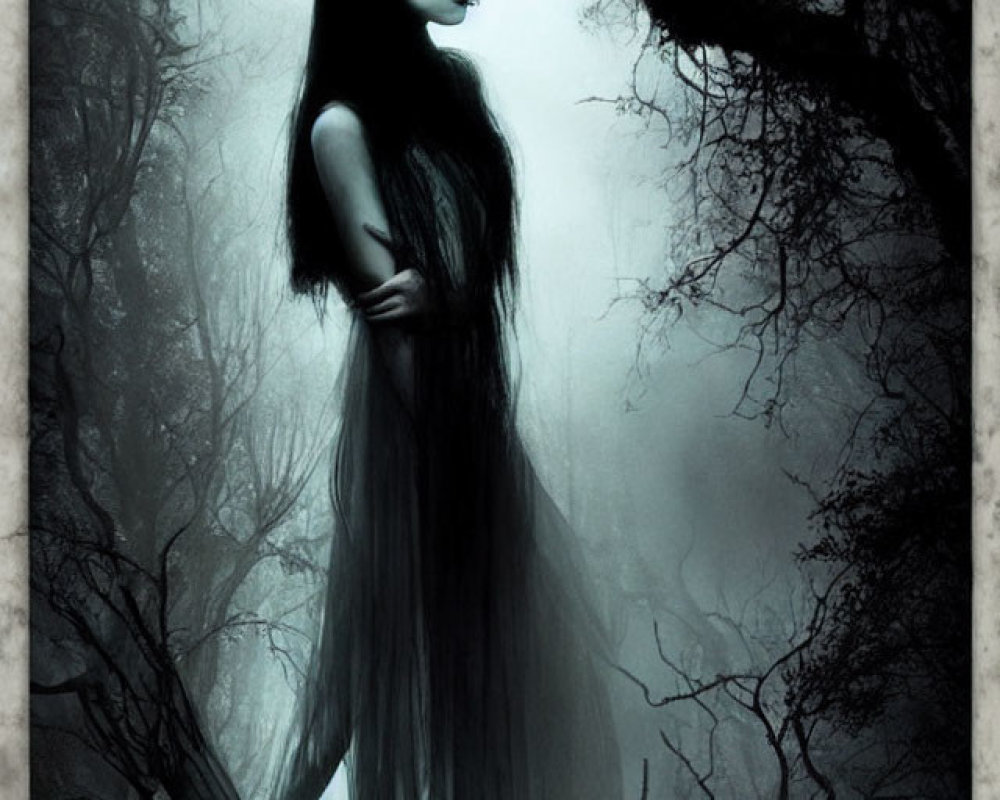 Silhouette of woman with crown in misty, dark forest