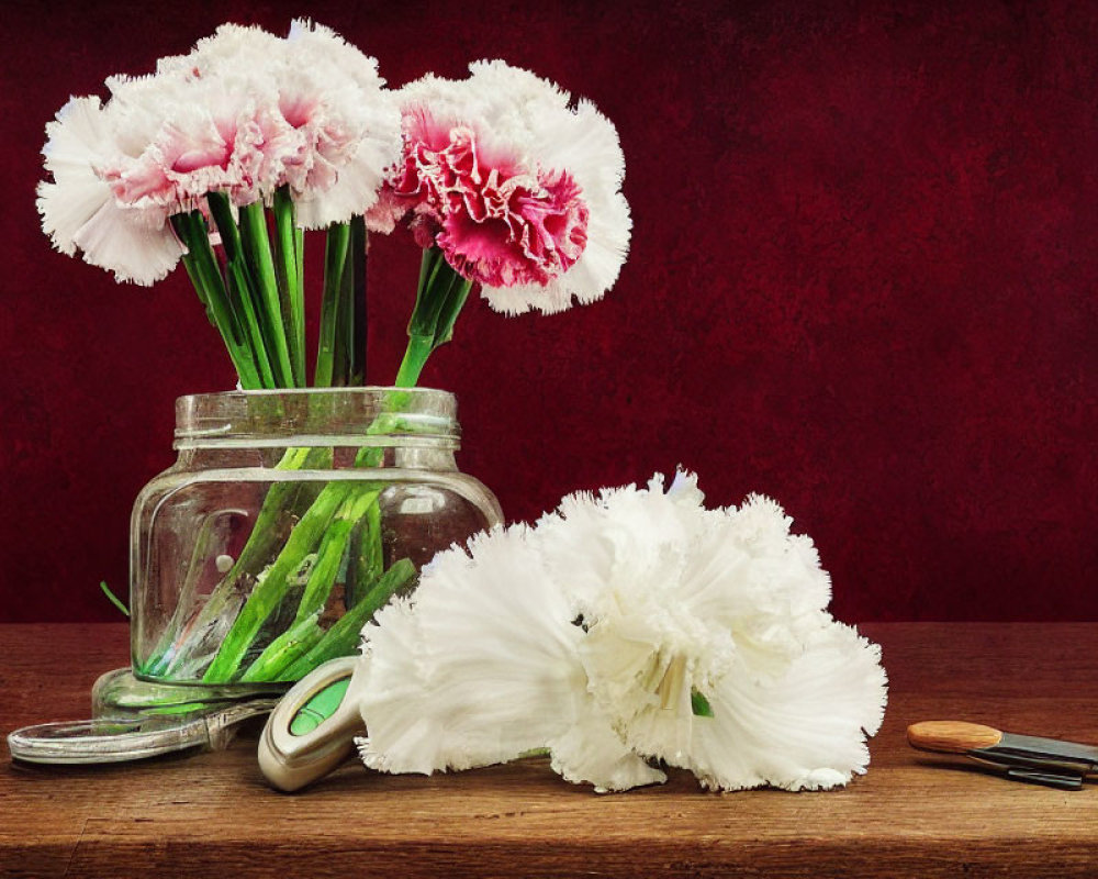 Glass jar with pink and white carnations on wooden surface, dark red backdrop, fallen flower, and