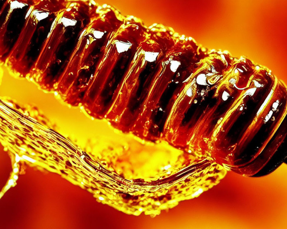 Golden honey dripping from spiral dipper on warm orange background.