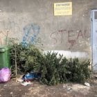 Abandoned Christmas trees and trash in urban setting with vending machines.